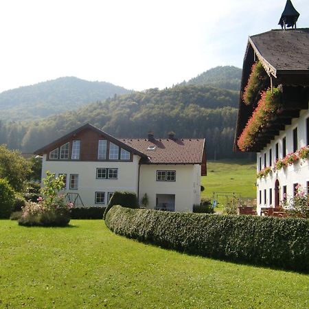 Pension Hohenau Hotel Fuschl am See Kültér fotó