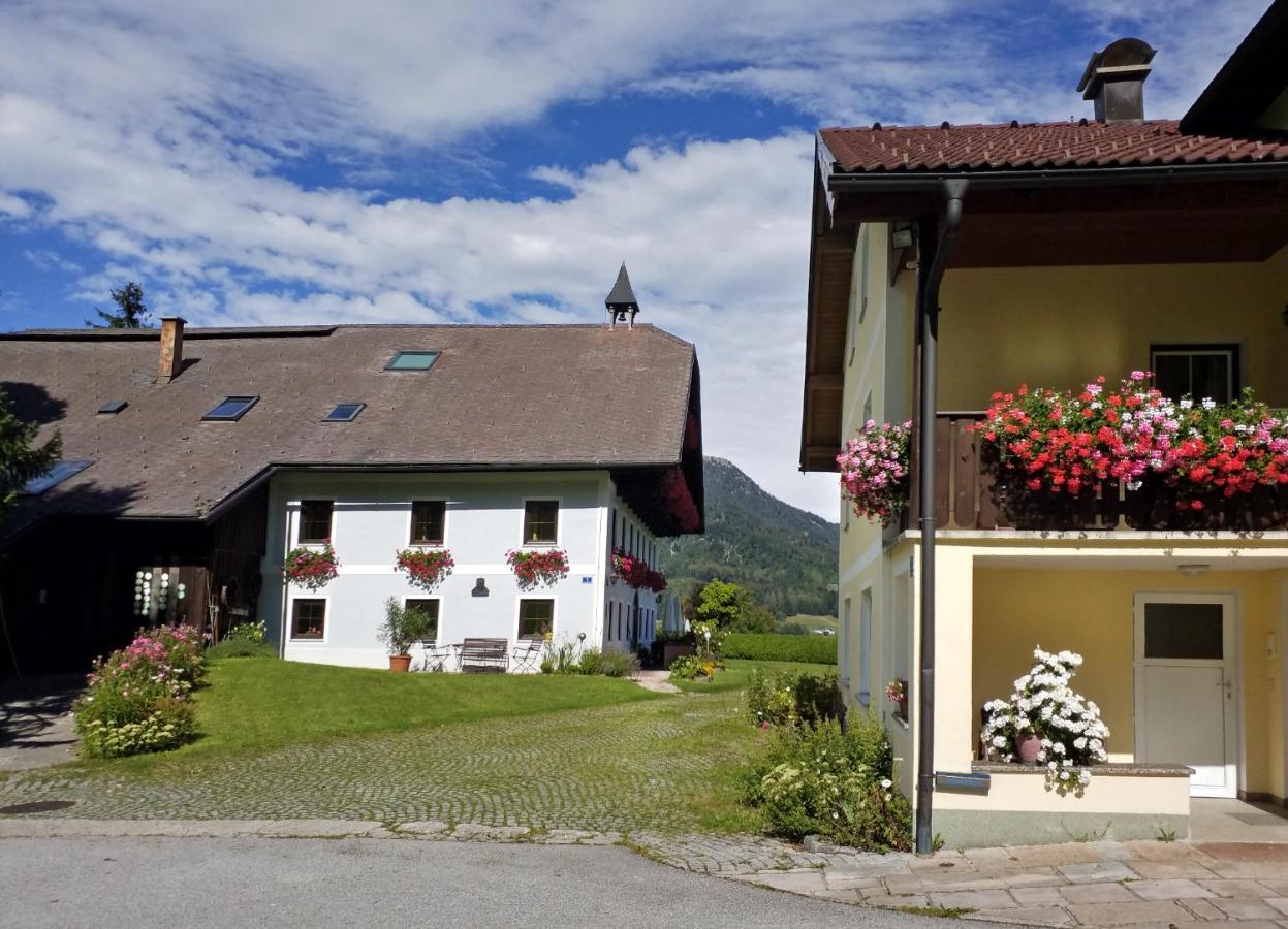 Pension Hohenau Hotel Fuschl am See Kültér fotó